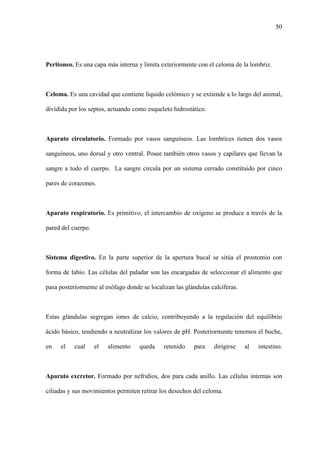 50
Peritoneo. Es una capa más interna y limita exteriormente con el celoma de la lombriz.
Celoma. Es una cavidad que contiene líquido celómico y se extiende a lo largo del animal,
dividida por los septos, actuando como esqueleto hidrostático.
Aparato circulatorio. Formado por vasos sanguíneos. Las lombrices tienen dos vasos
sanguíneos, uno dorsal y otro ventral. Posee también otros vasos y capilares que llevan la
sangre a todo el cuerpo. La sangre circula por un sistema cerrado constituido por cinco
pares de corazones.
Aparato respiratorio. Es primitivo, el intercambio de oxígeno se produce a través de la
pared del cuerpo.
Sistema digestivo. En la parte superior de la apertura bucal se sitúa el prostomio con
forma de labio. Las células del paladar son las encargadas de seleccionar el alimento que
pasa posteriormente al esófago donde se localizan las glándulas calcíferas.
Estas glándulas segregan iones de calcio, contribuyendo a la regulación del equilibrio
ácido básico, tendiendo a neutralizar los valores de pH. Posteriormente tenemos el buche,
en el cual el alimento queda retenido para dirigirse al intestino.
Aparato excretor. Formado por nefridios, dos para cada anillo. Las células internas son
ciliadas y sus movimientos permiten retirar los desechos del celoma.
 
