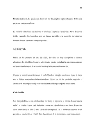 51
Sistema nervioso. Es ganglionar. Posee un par de ganglios supraesofágicos, de los que
parte una cadena ganglionar.
La lombriz californiana se alimenta de animales, vegetales y minerales. Antes de comer
tejidos vegetales los humedece con un líquido parecido a la secreción del páncreas
humano, lo cual constituye una predigestión.
3.3. HABITAT.
Habita en los primeros 50 cm. del suelo, por tanto es muy susceptible a cambios
climáticos. Es fotofóbica, los rayos ultravioletas pueden perjudicarla gravemente, además
de la excesiva humedad, la acidez del medio y la incorrecta alimentación.
Cuando la lombriz cava túneles en el suelo blando y húmedo, succiona o chupa la tierra
con la faringe evaginada o bulbo musculoso. Digiere de ella las partículas vegetales o
animales en descomposición y vuelve a la superficie a expulsar por el ano la tierra.
Ciclo de vida.
Son hermafroditas, no se autofecundan, por tanto es necesaria la cópula, la cual ocurre
cada 7 o 10 días. Luego cada individuo coloca una cápsula (huevo en forma de pera de
color amarillento) de unos 2 mm. De la cual emergen de 2 a 21 lombrices después de un
periodo de incubación de 14 a 21 días, dependiendo de la alimentación y de los cuidados.
 