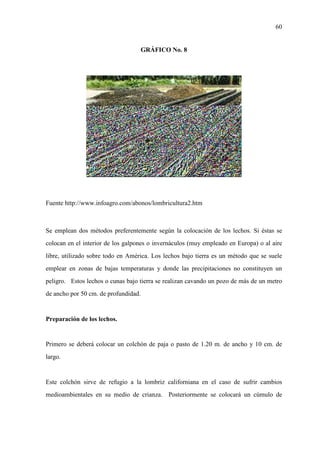 60
GRÁFICO No. 8
Fuente http://www.infoagro.com/abonos/lombricultura2.htm
Se emplean dos métodos preferentemente según la colocación de los lechos. Si éstas se
colocan en el interior de los galpones o invernáculos (muy empleado en Europa) o al aire
libre, utilizado sobre todo en América. Los lechos bajo tierra es un método que se suele
emplear en zonas de bajas temperaturas y donde las precipitaciones no constituyen un
peligro. Estos lechos o cunas bajo tierra se realizan cavando un pozo de más de un metro
de ancho por 50 cm. de profundidad.
Preparación de los lechos.
Primero se deberá colocar un colchón de paja o pasto de 1.20 m. de ancho y 10 cm. de
largo.
Este colchón sirve de refugio a la lombriz californiana en el caso de sufrir cambios
medioambientales en su medio de crianza. Posteriormente se colocará un cúmulo de
 
