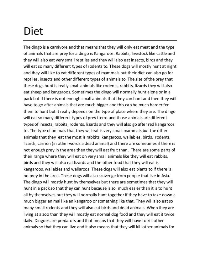 A book about the dingo