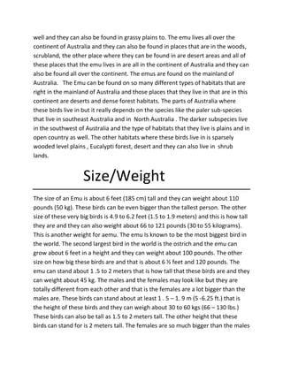 infomation about the emu | DOCX