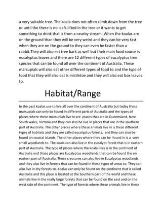 a very suitable tree. The koala does not often climb down from the tree
or until the there is no leafs lifted in the tree or it wants to get
something to drink that is from a nearby stream. When the koalas are
on the ground than they will be very weird and they can be very fast
when they are on the ground to they can even be faster than a
rabbit.They will also eat tree bark as well but their main food source is
eucalyptus leaves and there are 12 different types of eucalyptus tree
species that can be found all over the continent of Australia. These
marsupials will also eat other different types of food to and the type of
food that they will also eat is mistletoe and they will also eat box leaves
to.
Habitat/Range
In the past koalas use to live all over the continent of Australia but today these
marsupials can only be found in different parts of Australia and the types of
places where these marsupials live in are places that are in Queensland, New
South wales, Victoria and they can also be live in places that are in the southern
part of Australia. The other places where these animals live in is these different
types of habitats and they are called eucalyptus forests, and they can also be
found on coastal islands. The other places where they can be found in is a very
small woodlands to. The koala can also live in the eucalypt forest that is in eastern
part of Australia. The type of places where the koala lives is in the continent of
Australia and those places are Eucalyptus woodlands that can be found the on
eastern part of Australia. These creatures can also live in Eucalyptus woodlands
and they also live in forests that can be found in these types of areas to. They can
also live in dry forests to. Koalas can only be found on the continent that is called
Australia and this place is located at the Southern part of the world and these
animals live in the really large forests that can be found on the east and on the
west side of the continent. The type of forests where these animals live in these
 