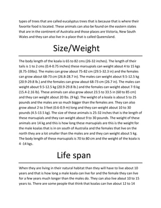 types of trees that are called eucalyptus trees that is because that is where their
favorite food is located. These animals can also be found on the eastern states
that are in the continent of Australia and those places are Victoria, New South
Wales and they can also live in a place that is called Queensland.
Size/Weight
The body length of the koala is 65 to 82 cms (26-32 inches). The length of their
tails is 1 to 2 cms (0.4-0.75 inches) these marsupials can weight about 4 to 15 kgs
(8.75-33lbs). The males can grow about 75-82 cm (29.5-32.3 in) and the females
can grow about 68-73 cm (26.8-28.7 in). The males can weight about 9.5-12.5 kg
(20.9-29.8 lb.) and the females can grow about 68-73 cm (26.7 in). The males can
weight about 9.5-12.5 kg (20.9-29.8 lb.) and the females can weight about 7-9.kg
(15.4-2.16 lb). These animals can also grow about 23.5 to 33.5 in (60 to 85 cm)
and they can weight about 20 lbs. (9 kg). The weight of a koala is about 5 to 25
pounds and the males are so much bigger than the females are. They can also
grow about 2 to 3 feet (0.6-0.9 m) long and they can weight about 10 to 30
pounds (4.5-13.5 kg). The size of these animals is 25-32 inches that is the length of
these marsupials and they can weight about 9 to 30 pounds. The weight of these
animals are 14 kg and this is how long these marsupials are this is the weight for
the male koalas that is in on south of Australia and the females that live on the
north they are a lot smaller than the males are and they can weight about 5 kg.
The body length of these marsupials is 70 to 80 cm and the weight of the koala is
4 -14 kgs.
Life span
When they are living in their natural habitat than they will have to live about 10
years and that is how long a male koala can live for and the female they can live
for a few years much longer than the males do. They can also live about 10 to 15
years to. There are some people that think that koalas can live about 12 to 14
 