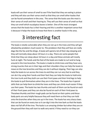 koala will use their sense of smell to see if the food that they are eating is piston
and they will also use their sense smell so that they can smell other koalas that
can be found somewhere in the area. The sense that the koala uses the most is
their sense of small and their hearing to. They will use their sense of smell so that
they can smell which eucalyptus leaves is better. One of the most strongest
senses that the koala has is their hearing and this is another important sense that
is because it helps the koala to know that there is another koala in the area.
3 interesting fact
The koala is totally vulnerable when they are not up in the trees and they will get
attacked by predators much easier to. The predators that they will face are really
dogs like the fox and the dingo. A koala will spend a lot of their day sleeping and
they will normally sleep about 14 hours in a day. There are some people that
think that they can sleep about 16 hours in a day and these animals will mostly
hunt at night. The hands and the feet of the koala are made to curl and to hang
around in the tree branches. The koala is made to climb trees and they have very
strong muscles that are in their legs and their shoulders they can help the koala to
move on the tree branches and they can do it without slipping. Their legs can also
help the koala to run across the trees to and they can run very fast to and they
can do it by using their hands and their feet they can help the koala to hold onto
the tree trunk and they both can use their front paws and their hind legs to help
the koala to pull themselves when they are in the trees. The koala has 4 special
skills that can help them to climb the trees and they can climb much easier if they
use their paws. The koala has two thumbs and each of them can be found on each
of their front paws and they can also be found on each of their hind paws to.
Thesetwo thumbs and their rough pads can be found on their palms and these
body parts are very helpful because they will need them so that they can hold
onto the branches when they are up in the trees. The koala has very sharp claws
that can be found on every toe so it can dig it into the tree bark so that the koala
does not fall off of the tree. The koala is an amazing climber but when they are on
the ground then they will start to walk very weird. If they need to run they can
 