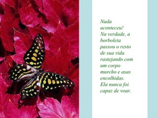 Nada aconteceu! Na verdade, a borboleta passou o resto de sua vida rastejando com um corpo murcho e asas encolhidas. Ela nunca foi capaz de voar.   