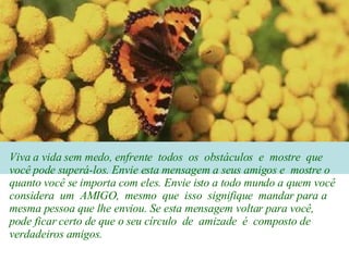 Viva a vida sem medo, enfrente  todos  os  obstáculos  e  mostre  que você pode superá-los. Envie esta mensagem a seus amigos e  mostre o quanto você se importa com eles. Envie isto a todo mundo a quem você considera  um  AMIGO,  mesmo  que  isso  signifique  mandar para a mesma pessoa que lhe enviou. Se esta mensagem voltar para você, pode ficar certo de que o seu círculo  de  amizade  é  composto de verdadeiros amigos. 