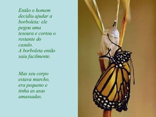 Então o homem decidiu ajudar a borboleta: ele pegou uma tesoura e cortou o restante do casulo. A borboleta então saiu facilmente. Mas seu corpo estava murcho, era pequeno e tinha as asas amassadas. 