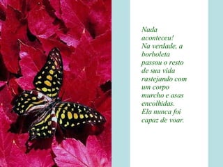 Nada aconteceu! Na verdade, a borboleta passou o resto de sua vida rastejando com um corpo murcho e asas encolhidas. Ela nunca foi capaz de voar.   