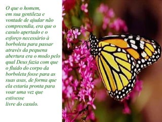 O que o homem, em sua gentileza e  vontade de ajudar não compreendia, era que o casulo apertado e o esforço necessário à borboleta para passar através da pequena abertura era o modo pelo qual Deus fazia com que o fluido do corpo da borboleta fosse para as suas asas, de forma que ela estaria pronta para voar uma vez que estivesse livre do casulo. 