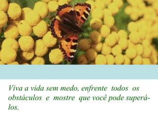 Viva a vida sem medo, enfrente  todos  os  obstáculos  e  mostre  que você pode superá-los.  