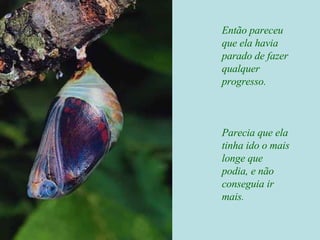 Então pareceu que ela havia parado de fazer qualquer progresso. Parecia que ela tinha ido o mais longe que podia, e não conseguia ir mais. 
