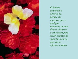 O homem continuou a observá-la,  porque ele esperava que, a qualquer momento, as asas dela se abrissem e esticassem para serem capazes de suportar o corpo que iria se afirmar a tempo. 