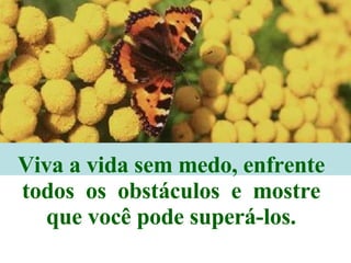 Viva a vida sem medo, enfrente  todos  os  obstáculos  e  mostre  que você pode superá-los.  