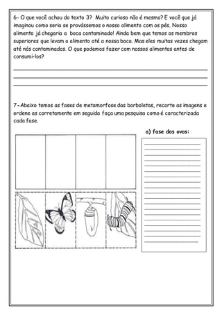 6- O que você achou do texto 3? Muito curioso não é mesmo? E você que já
imaginou como seria se provássemos o nosso alimento com os pés. Nosso
alimento já chegaria a boca contaminado! Ainda bem que temos os membros
superiores que levam o alimento até a nossa boca. Mas eles muitas vezes chegam
até nós contaminados. O que podemos fazer com nossos alimentos antes de
consumi-los?
___________________________________________________________
___________________________________________________________
___________________________________________________________
7-Abaixo temos as fases de metamorfose das borboletas, recorte as imagens e
ordene as corretamente em seguida faça uma pesquisa como é caracterizada
cada fase.
a) fase dos ovos:
____________________________
____________________________
____________________________
____________________________
____________________________
____________________________
____________________________
____________________________
____________________________
____________________________
____________________________
____________________________
____________________________
____________________________
____________________________
____________________________
____________________________
____________________________
___________________________
 