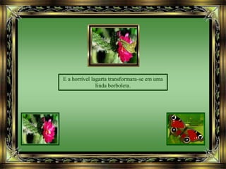 E a horrível lagarta transformara-se em uma
linda borboleta.
 