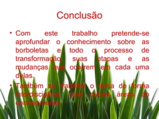 Conclusão
• Com       este     trabalho pretende-se
  aprofundar o conhecimento sobre as
  borboletas e todo o processo de
  transformação, suas etapas e as
  mudanças que ocorrem em cada uma
  delas.
• Também se trabalha o tema de forma
  interdisciplinar, com outras áreas do
  conhecimento,
 