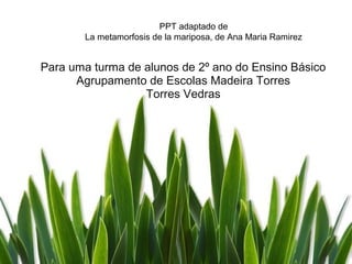 PPT adaptado de
       La metamorfosis de la mariposa, de Ana Maria Ramirez


Para uma turma de alunos de 2º ano do Ensino Básico
      Agrupamento de Escolas Madeira Torres
                  Torres Vedras
 