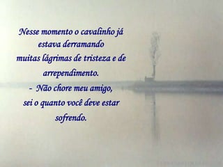 Nesse momento o cavalinho já
     estava derramando
muitas lágrimas de tristeza e de
       arrependimento.
    - Não chore meu amigo,
  sei o quanto você deve estar
           sofrendo.
 