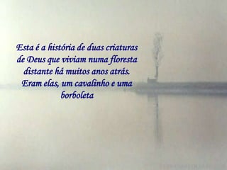 Esta é a história de duas criaturas
de Deus que viviam numa floresta
  distante há muitos anos atrás.
 Eram elas, um cavalinho e uma
             borboleta
 