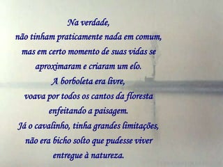 Na verdade,
não tinham praticamente nada em comum,
 mas em certo momento de suas vidas se
      aproximaram e criaram um elo.
         A borboleta era livre,
  voava por todos os cantos da floresta
        enfeitando a paisagem.
Já o cavalinho, tinha grandes limitações,
  não era bicho solto que pudesse viver
          entregue à natureza.
 