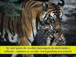 Se você gosta de receber mensagem de motivação e
reflexão, cadastre-se no site: www.paulolacava.com.br
 