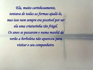 Ela, muito carinhosamente,
 tentava de todas as formas ajudá-lo,
mas isso nem sempre era possível por ser
    ela uma criaturinha tão frágil.
Os anos se passaram e numa manhã de
 verão a borboleta não apareceu para
      visitar o seu companheiro.
 