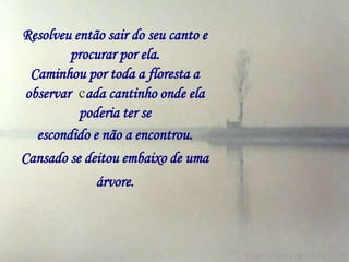 Resolveu então sair do seu canto e
         procurar por ela.
  Caminhou por toda a floresta a
 observar cada cantinho onde ela
          poderia ter se
   escondido e não a encontrou.
Cansado se deitou embaixo de uma
             árvore.
 