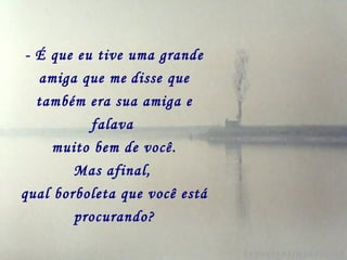 - É que eu tive uma grande amiga que me   disse que também era sua amiga e falava   muito bem de você. Mas afinal,   qual borboleta que você está procurando? 