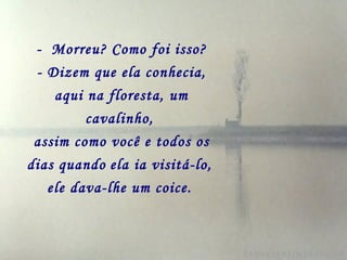 -  Morreu? Como foi isso? - Dizem que ela conhecia, aqui na floresta, um cavalinho,   assim como você e todos os dias quando   ela ia visitá-lo,   ele dava-lhe um coice.   