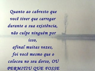 Quanto ao cabresto que você tiver que carregar   durante a sua existência,   não culpe ninguém por isso,   afinal muitas vezes,   foi você mesmo que o colocou no seu dorso, OU PERMITIU QUE FOSSE COLOCADO. 