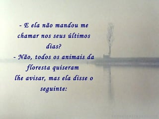 - E ela não mandou me chamar nos seus últimos dias? - Não, todos os animais da floresta quiseram   lhe avisar, mas ela disse o seguinte: 