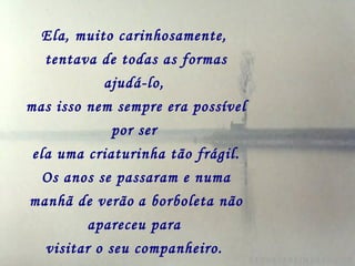 Ela, muito carinhosamente,   tentava de todas as formas ajudá-lo,   mas isso nem sempre era possível por ser   ela uma criaturinha tão frágil. Os anos se passaram e numa manhã de verão   a borboleta não apareceu para   visitar o seu companheiro.   