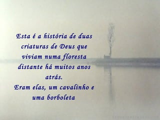 Esta é a história de duas criaturas de Deus que viviam numa floresta distante há muitos anos atrás. Eram elas, um cavalinho e uma borboleta   