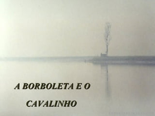 A BORBOLETA E O CAVALINHO 