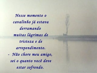 Nesse momento o cavalinho já estava derramando   muitas lágrimas de tristeza e de arrependimento. -  Não chore meu amigo,   sei o quanto você deve estar sofrendo.   