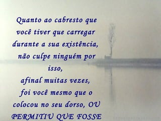 Quanto ao cabresto que você tiver que carregar   durante a sua existência,   não culpe ninguém por isso,   afinal muitas vezes,   foi você mesmo que o colocou no seu dorso, OU PERMITIU QUE FOSSE COLOCADO. 