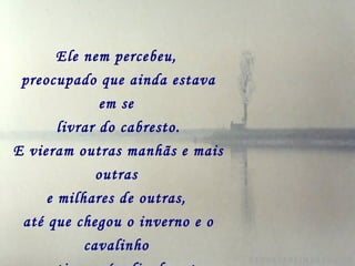 Ele nem percebeu,   preocupado que ainda estava em se   livrar do cabresto. E vieram outras manhãs e mais outras   e milhares de outras,   até que chegou o inverno e o cavalinho   sentiu-se só e finalmente percebeu a   ausência da borboleta.   