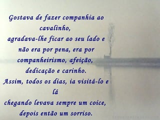 Gostava de fazer companhia ao cavalinho,   agradava-lhe ficar ao seu lado e não era por pena,   era por companheirismo, afeição,   dedicação e carinho. Assim, todos os dias, ia visitá-lo e lá   chegando levava sempre um coice,   depois então um sorriso. 