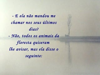 - E ela não mandou me
  chamar nos seus últimos
             dias?
- Não, todos os animais da
      floresta quiseram
 lhe avisar, mas ela disse o
           seguinte:
 
