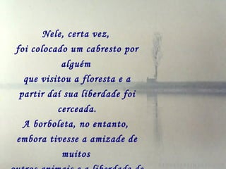 Nele, certa vez,
foi colocado um cabresto por
           alguém
  que visitou a floresta e a
 partir daí sua liberdade foi
          cerceada.
  A borboleta, no entanto,
embora tivesse a amizade de
           muitos
 