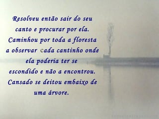 Resolveu então sair do seu
   canto e procurar por ela.
 Caminhou por toda a floresta
a observar cada cantinho onde
      ela poderia ter se
 escondido e não a encontrou.
 Cansado se deitou embaixo de
         uma árvore.
 