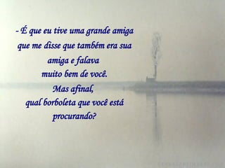 - É que eu tive uma grande amiga que me   disse que também era sua amiga e falava   muito bem de você. Mas afinal,   qual borboleta que você está procurando? 