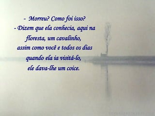-  Morreu? Como foi isso? - Dizem que ela conhecia, aqui na floresta, um cavalinho,   assim como você e todos os dias quando   ela ia visitá-lo,   ele dava-lhe um coice.   