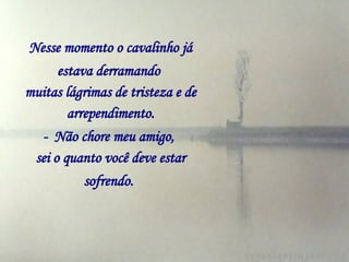 Nesse momento o cavalinho já estava derramando   muitas lágrimas de tristeza e de arrependimento. -  Não chore meu amigo,   sei o quanto você deve estar sofrendo.   