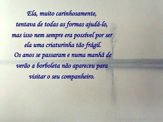Ela, muito carinhosamente,   tentava de todas as formas ajudá-lo,   mas isso nem sempre era possível por ser   ela uma criaturinha tão frágil. Os anos se passaram e numa manhã de verão   a borboleta não apareceu para   visitar o seu companheiro.   