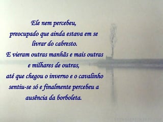 Ele nem percebeu,   preocupado que ainda estava em se   livrar do cabresto. E vieram outras manhãs e mais outras   e milhares de outras,   até que chegou o inverno e o cavalinho   sentiu-se só e finalmente percebeu a   ausência da borboleta.   
