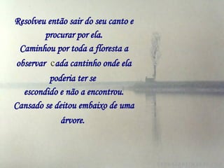Resolveu então sair do seu canto e procurar por ela. Caminhou por toda a floresta a observar   c ada cantinho onde ela poderia ter se   escondido e não a encontrou. Cansado se deitou embaixo de uma árvore.   