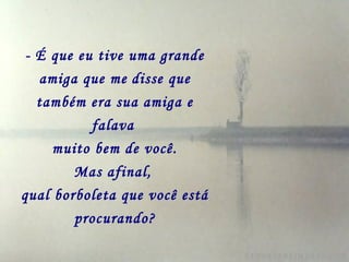 - É que eu tive uma grande
amiga que me disse que
também era sua amiga e
falava
muito bem de você.
Mas afinal,
qual borboleta que você está
procurando?
 