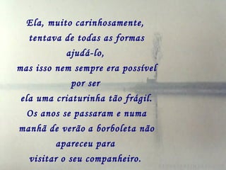 Ela, muito carinhosamente,
tentava de todas as formas
ajudá-lo,
mas isso nem sempre era possível
por ser
ela uma criaturinha tão frágil.
Os anos se passaram e numa
manhã de verão a borboleta não
apareceu para
visitar o seu companheiro.
 