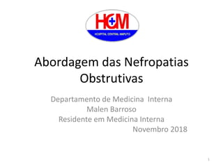 Abordagem das Nefropatias
Obstrutivas
Departamento de Medicina Interna
Malen Barroso
Residente em Medicina Interna
Novembro 2018
1
 